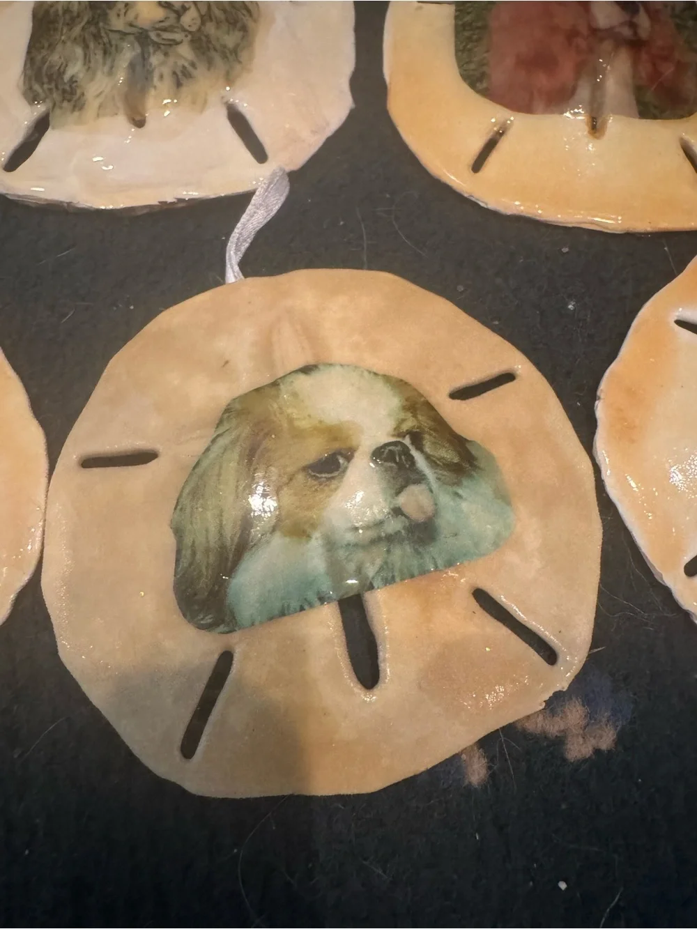 Handcrafted Small Pet real Sand Dollar Ornaments with Dog Artwork - Tan